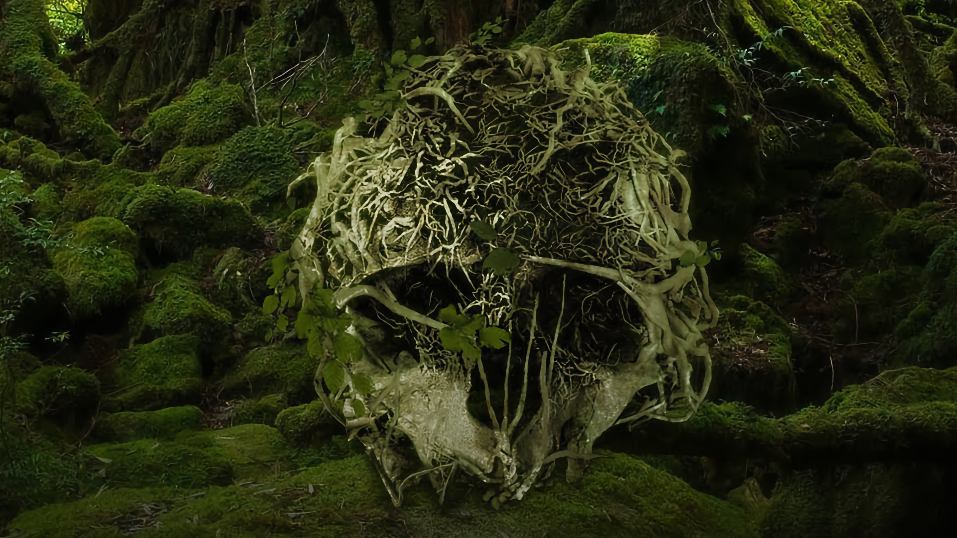The Forest