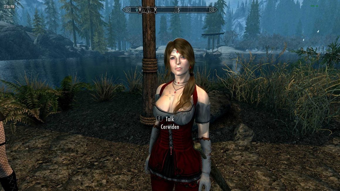 skyrim se best follower mod