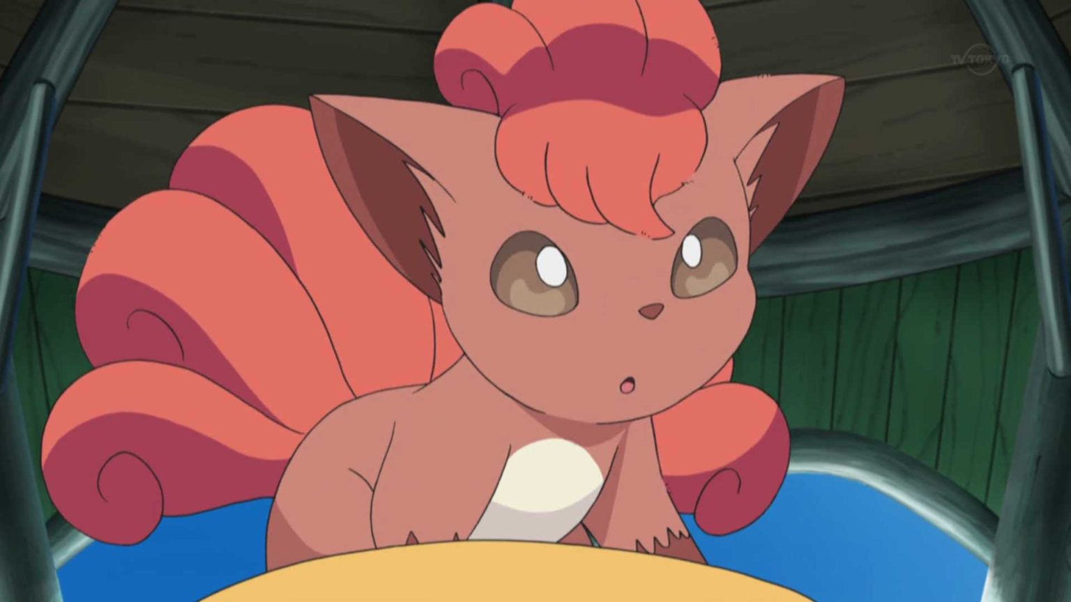 vulpix cape pikachu